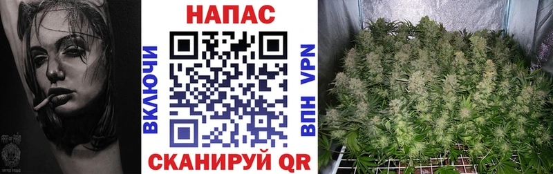 Наркошоп купить APVP  Галлюциногенные грибы  Codein  ГАШИШ  Канабис  Меф  Бакал