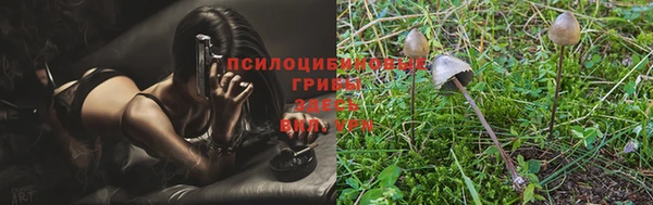 ПСИЛОЦИБИНОВЫЕ ГРИБЫ Зерноград